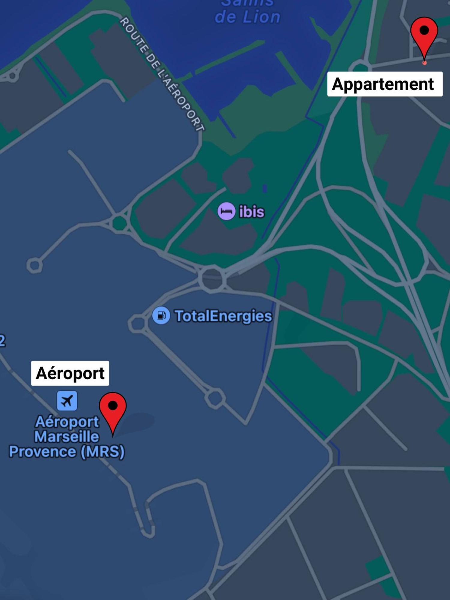 Superbe Appart Avec Jardin A 2 Min De L'Aeroport-4 Pers 维特罗勒 外观 照片